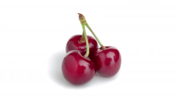 Three Cherries Isolated White — Stock Video