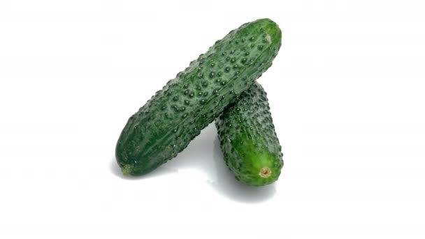 Cucumber Isolated White Background — Stock Video