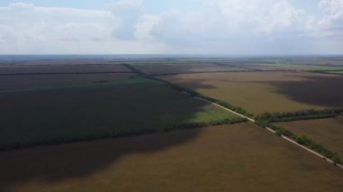 panoramik tarımsal alanlar tarım arazisi drone görüşü