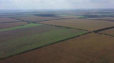 panoramik tarımsal alanlar tarım arazisi drone görüşü