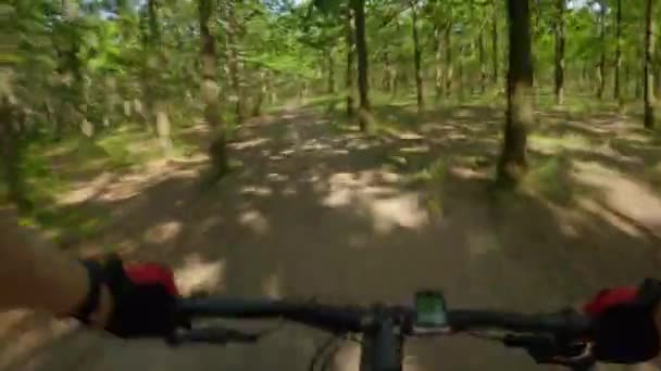 Pedalare Mountain Bike Nel Bosco Curvatura Temporale — Video Stock