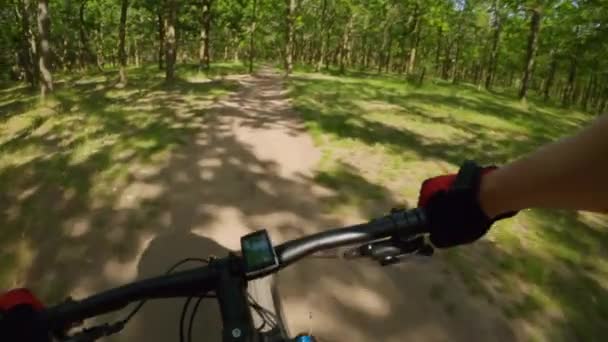 Mountainbike Fahren Wald Zeitlupe — Stockvideo