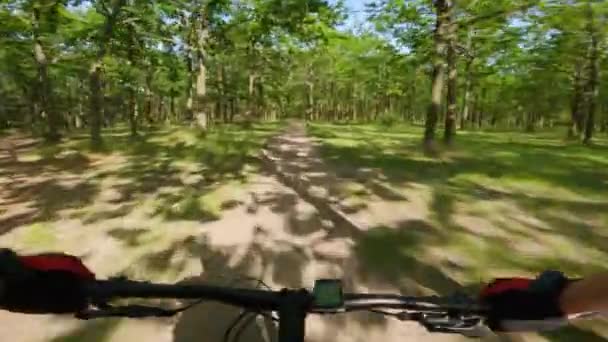 Ιππασία Ένα Ποδήλατο Βουνού Στο Δάσος — Αρχείο Βίντεο