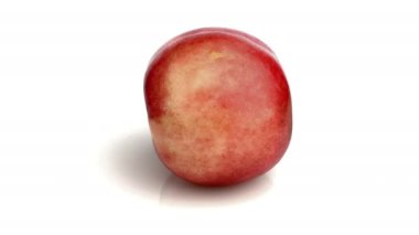 beyaz nektarin beyaz üzerine izole