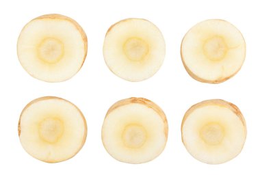 dilimlenmiş maydanoz kökü yolu izole edildi