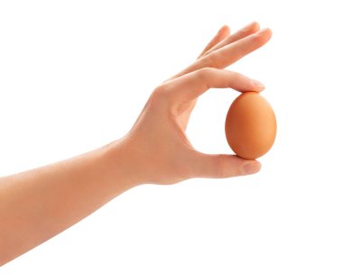 Eldeki kahverengi yumurta izole edilmiş.