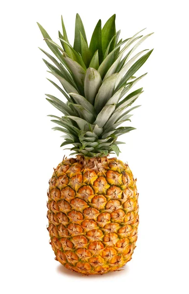 Ananas Pad Geïsoleerd Wit — Stockfoto