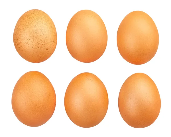 Brown Eggs Path Isolated White — Stock Photo, Image