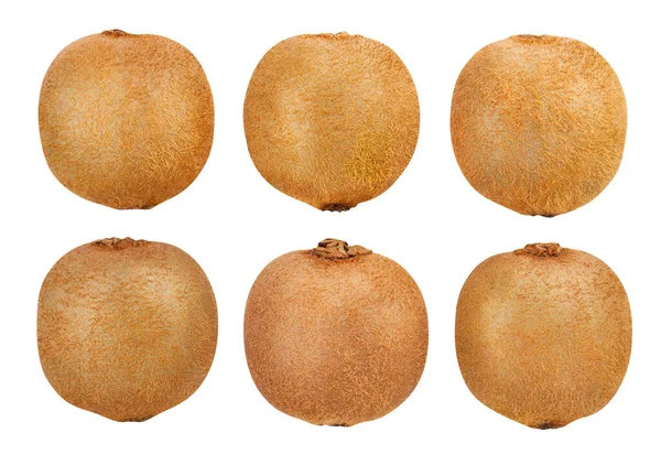 Kiwifruchtpfad Isoliert Auf Weiß — Stockfoto