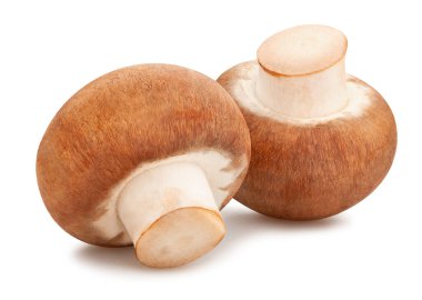 Kahverengi mantarlar beyaz yolda izole edilmiş.