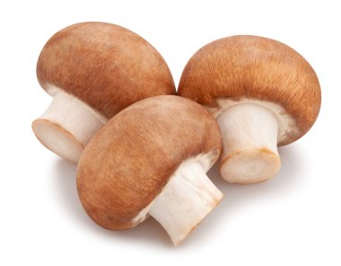 Kahverengi mantarlar beyaz yolda izole edilmiş.