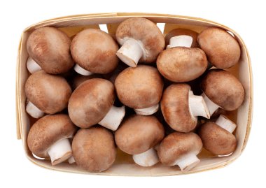 kahverengi mantar yolu izole edilmiş topo görünümü