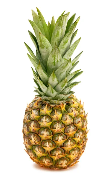 Ananas Pad Geïsoleerd Wit — Stockfoto