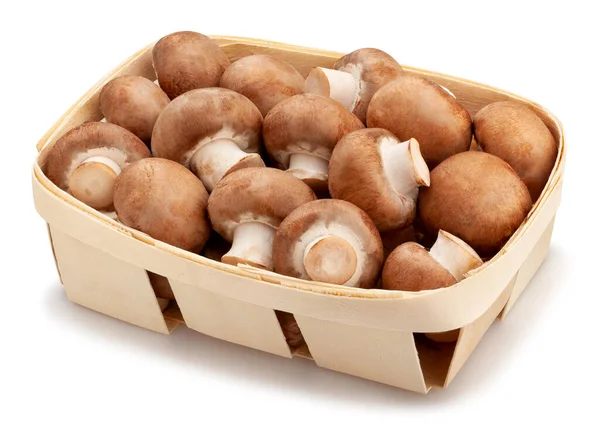 Brown Mushrooms Basket Path Isolated — Stock Photo, Image