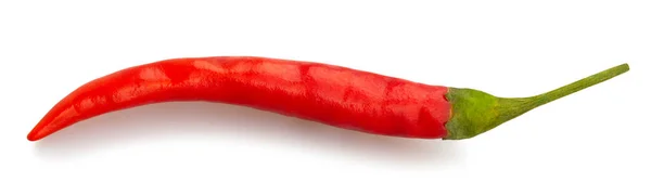 Chilipfeffer Pfad Isoliert Auf Weiß — Stockfoto