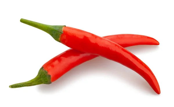 Chili Peper Pad Geïsoleerd Wit — Stockfoto