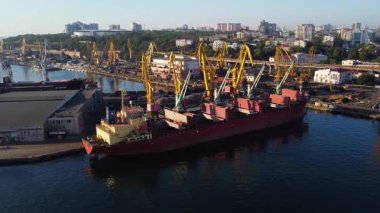 Odessa Ukrayna: limanda gemi