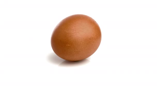 白地に隔離された褐色の卵 — ストック動画