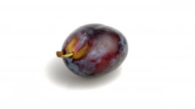 mavi erik beyaz arkaplanda izole