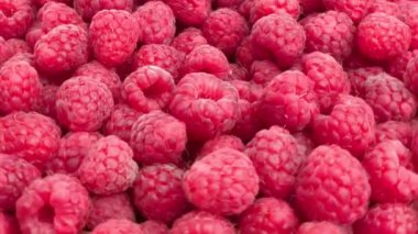 ahududu büyük grup yakın çekim döner