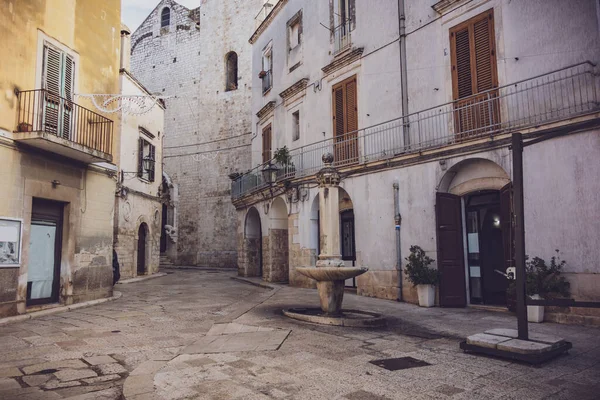Aleja Rutigliano Puglia Włochy — Zdjęcie stockowe