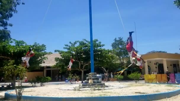 トゥルム メキシコ 2018 ダンザ Voladores チラシのダンス メキシコのトゥルムの Voladores の儀式を実行する飛行の男性 — ストック動画