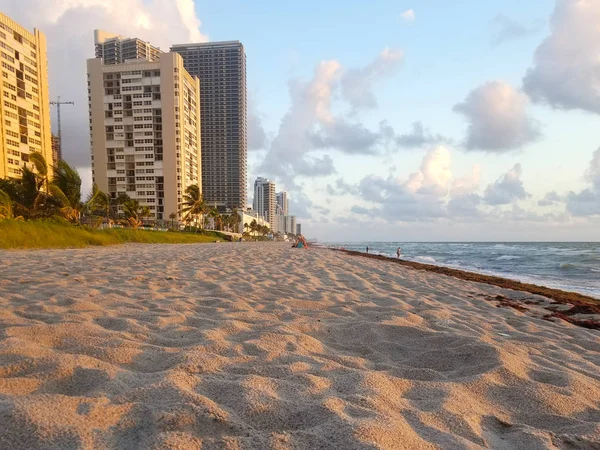 Hallandale Beach Florida Playa Arena Durante Amanecer Algas Playa —  Fotos de Stock