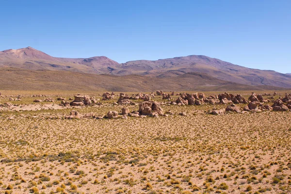 岩の谷 Valle Las Rocas ウユニ塩原に近いボリビアのアルティプラーノの 自然の美しさ — ストック写真