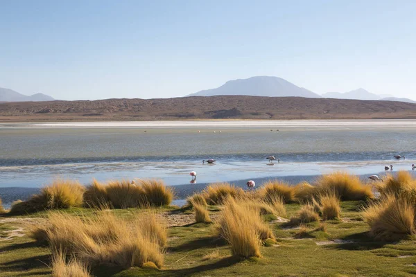 Gorgeous Landscapes Sur Lipez South Bolivia Mountain Range Lake Summer — Stock Photo, Image