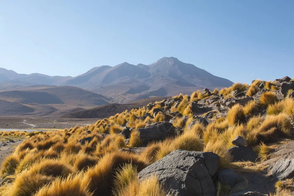 Hochgebirgslandschaft Potosi Bolivien Felsformationen Bergkette Felsen Und Gras Über Blauem — Stockfoto