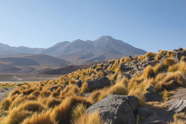 Landschap Van Hoge Bergen Potosi Bolivia Rotsformaties Gebergte Rotsen Gras — Stockfoto