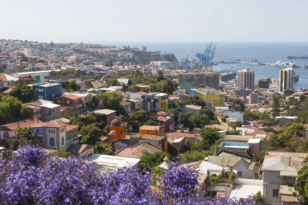 Färgglada Byggnader Kullarna Unescos Världsarv Staden Valparaiso Chile Flygfoto — Stockfoto