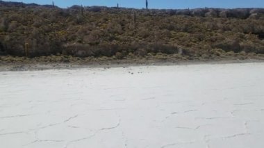 Incahuasi Adası olarak da bilinen kaktüs Adası'nda Salar de Uyuni, dünyanın en büyük tuz bataklığı. Altiplano, Bolivya