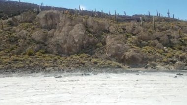 Incahuasi Adası olarak da bilinen kaktüs Adası'nda Salar de Uyuni, dünyanın en büyük tuz bataklığı. Altiplano, Bolivya