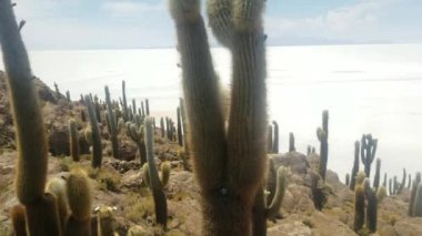 Salar de Uyuni Bolivya'daki panoramik manzaralarını. Dünya ile uyuyan volkan görünümünü en büyük tuz düz. Incahuasi, Güney Amerika.
