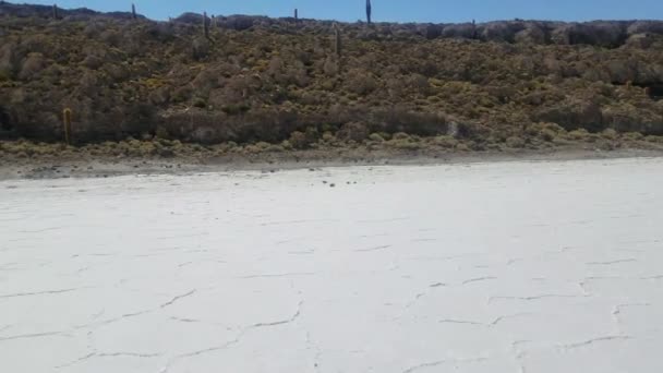 Incahuasi Eiland Ook Bekend Als Cactus Salar Uyuni Werelds Grootste — Stockvideo