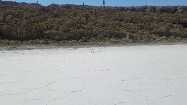 Wyspa Incahuasi Znany Również Jako Cactus Wyspa Salar Uyuni Świecie — Wideo stockowe