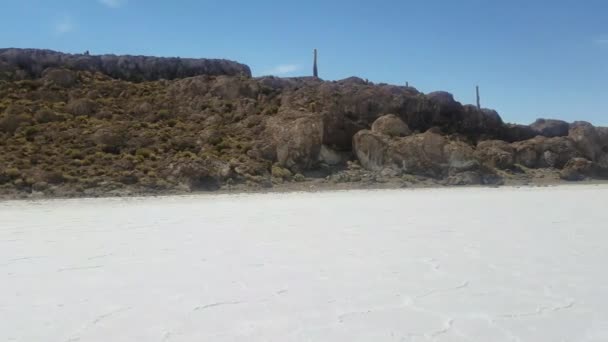 Incahuasi Adası Olarak Bilinen Kaktüs Adası Nda Salar Uyuni Dünyanın — Stok video