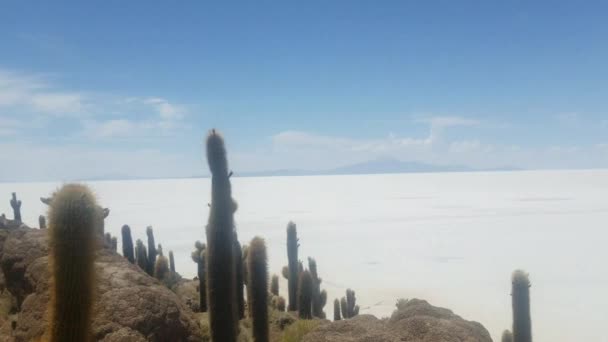 ボリビアのウユニ サラー インカワシ サボテン島 自然の驚異に明るく晴れた日 青い空 — ストック動画