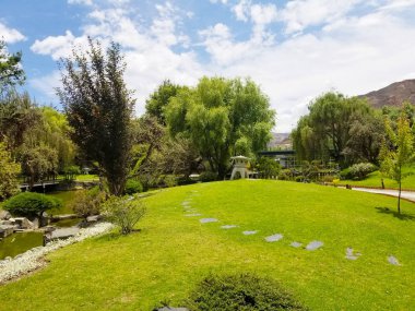 Bir yaz günü sırasında Japon Bahçe ağaçları