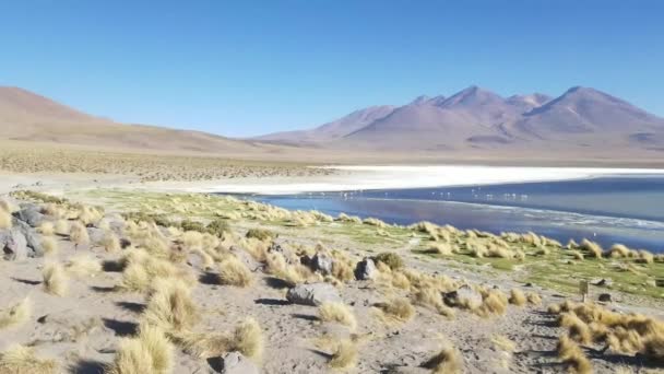 シュル リペス 南ボリビアのゴージャスな景色 夏の日の山脈湖 — ストック動画
