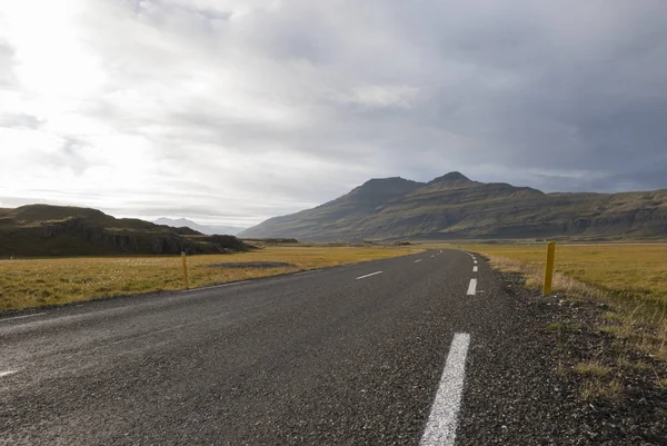 Increíble Paisaje Icelandés Montañas Hierba Con Camino Los Fiordos Orientales — Foto de Stock