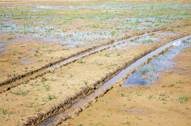 Arabadaki çamurda bir iz.