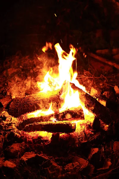 Feu Camp Brûlant Dans Nuit Verticale Gros Plan — Photo