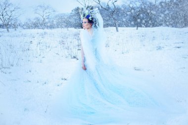 güzel kış Peri taç ve kar alan kar kraliçesi kavram üzerinde yürüyen ışık mavi elbise