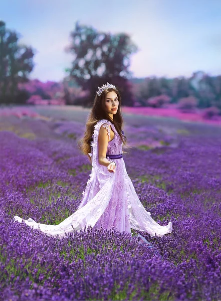 Beaufitul Mulher Lavanda Campo Vestido Alta Moda Vestido Coroa — Fotografia de Stock