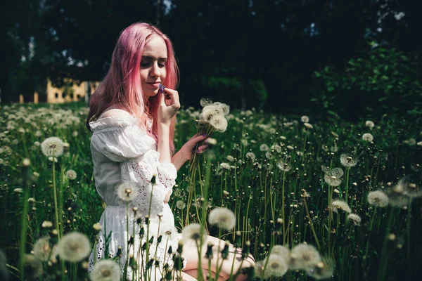 Hermosa chica con el pelo rosa se sienta en un campo alto con dientes de león en el verano —  Fotos de Stock