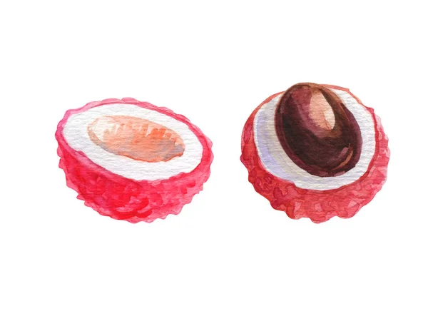 Lychee frutas tropicais exóticas isoladas em fundo branco. Watercolor ilustração desenhada à mão. Para têxteis de design, impressão ou fundo — Fotografia de Stock