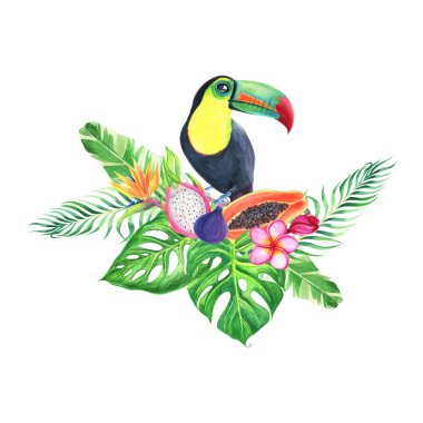 Toucan, yaprakları, çiçekler ve meyve kompozisyon. Egzotik suluboya tropikal illüstrasyon boyama. Tasarım Tekstil, davetiye, düğün veya Doğum günü kartı şablonu için arka plan için