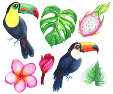 Suluboya tropikal toucans, çiçekler, yaprak ve tropikal meyve ayarlayın. Metin için el çizilmiş resimler, düğün Aloha daveti için orman egzotik backgraund Mükemmel